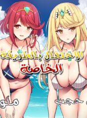 الاحتفال بالطريقة الخاصة Cover