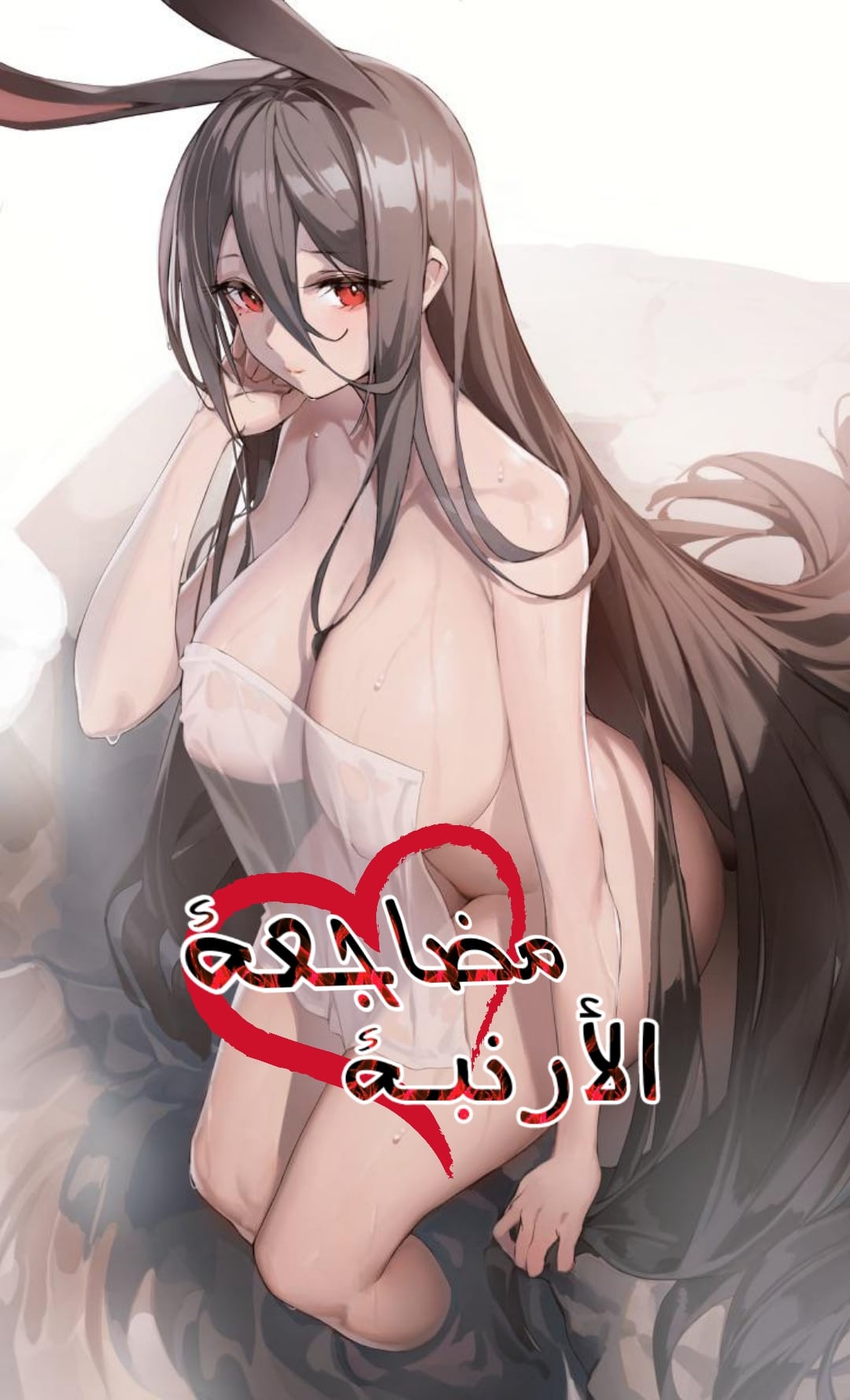 مضاجعة الأرنبة Cover