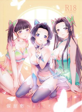 مرحبا بكم في قصر الفراشة – كيميتسو نو يابا Cover