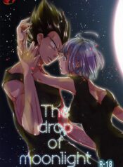 The drop of moonlight Cover