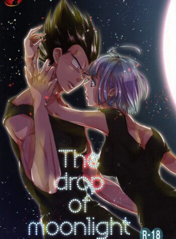 The drop of moonlight Cover