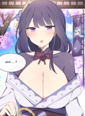 رايدن شوغن والقضيب Cover