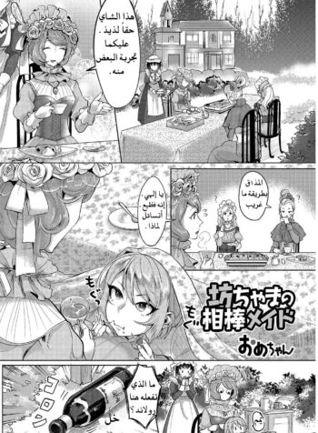 خادمة شريك السيد الشاب Cover