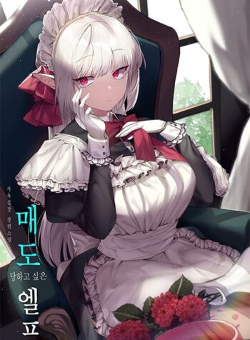 Elf Who Likes To Be Humiliated Cover